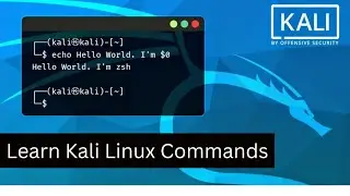 Kali Linux tutorial for Newbies: Simple Command Mastery for Beginners