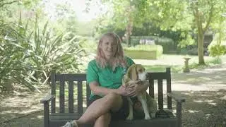 Woodgreen helps all pets...maybe even aliens | Woodgreen Pets Charity