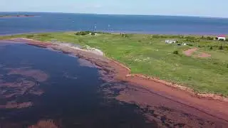July 13, 2022 dji export 1657726226958