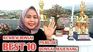 VIRAL ‼️ BONSAI REVIEW AT THE MAJENANG BONSAI EXHIBITION AND CONTEST WITH TIKA MIRZANI @masranna