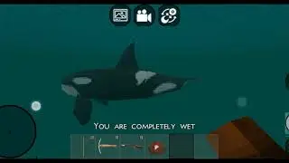 I found killer whale orca in mini block craft