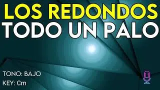 Patricio Rey y sus Redonditos de Ricota - Todo Un Palo - Karaoke Instrumental
