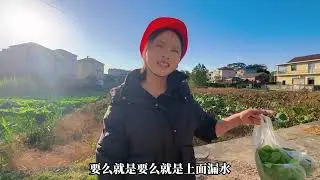 寸步难行，没有代步车出行诸多不便，二花左右为难 #记录真实生活 #守村人 #海哥量地球