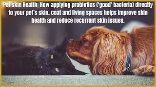 Pet skin Health: How applying probiotics to your pet's skin & living spaces helps reduce skin issues