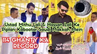 Pakistan Se Saudi Makkah Tak 🕋 | Piplan Kabootar By Ustad Mithu Lali & hassan lali