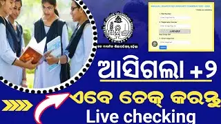 +2 arts result odisha 2023|CHSE +2 arts result 2023 odisha|plus 2 arts and vocational result 2023