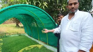 Cost Free Farm Concept At Royal Goat Farm Organic And Hygenic.