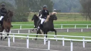 Falki höst - T8 final (vänster varv)