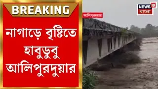 Alipurduar News | নাগাড়ে বৃষ্টিতে হাবুডুবু আলিপুরদুয়ার, রেকর্ড বৃষ্টিতে ফুঁসছে তোর্সা | Bangla News