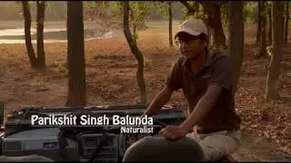 Индия 3D Национальный парк Канха India Kanha National Park 2014