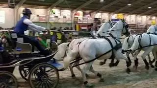 Bram Chardon - Euregio Indoor Mennen (Second round)