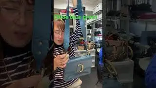 Chloe blue green color