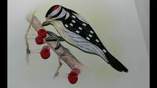 Quilling Bird \ Making Beautiful Love Birds - Paper Quilling Art