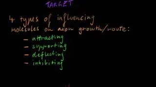 Part 5 - Neural Growth and Regeneration