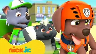 PAW Patrol STINKY Rescues & Adventures! #2 🤢 10 Minutes | Nick Jr.