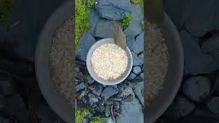 A Robin having Sunday brunch at our Winter Birdtable