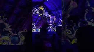 FishEYE live at Boom Festival 2025