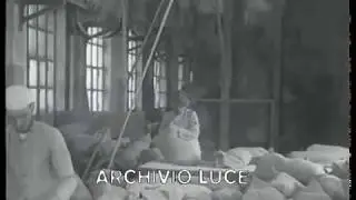 Stabilimento Eternit di Casale Monferrato 1940-1970