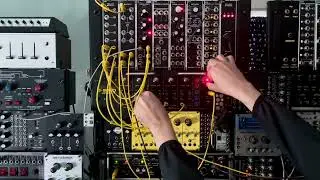 11/24/25 Metasonix D-2000 + Soundforce S-LD & S-707 + DSP 808 + SSL 1600 + ALM Pamela&rsquo;s New + (&hellip;)
