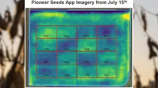 Pioneer&reg; brand soybeans: Digital Population Trials