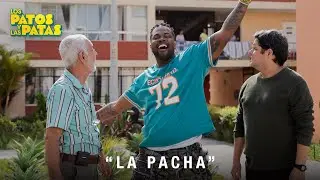 Los Patos y Las Patas | Spot 