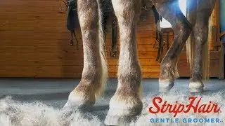 StripHair Gentle Groomer 💕 Love Those Legs!