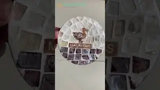 Mother of pearl coasters set Mauritius style | Vietnamese Handicratfts