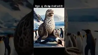 Why are penguins scared of seal 🦭 #shorts #penguin #facts