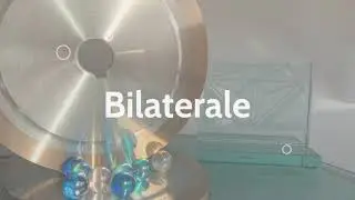 Mole Lanzetta per Bilaterali e Rettilinee