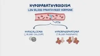 #Hyperparathyroudism &positive feedback system of Endocrine system👍#Nclex topic #Read discription👍👍