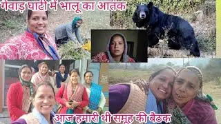 चौखुटिया गेवाड घाटी में भालू का आतंक 😱 ग्रामीणों में दहशत