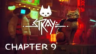 Stray Cat Game - PC Walkthrough Gameplay #9 | Chapter 9 Ant village | No Commentary | 4K