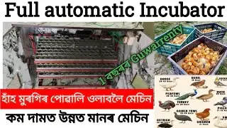 1 বছৰৰ Warrenty পাব। Full automatic Incubator,Best incubator machine in Assam,#Assam Incubator.