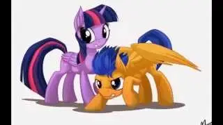 ♥MLP Flash Sentry and Twilight Sparkle♥