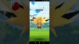OMG!! I found wild zapdos. Pokemon Go 🤯