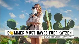 Katze testet Sommertrends / meine Produkte f&uuml;r den Sommer und Hitze im Katzenalltag / Amely Rose