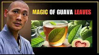 Seniors OVER 60? EAT Guava Leaves for 20 Amazing Benefits - Shi heng Yi