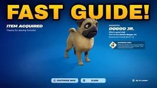 How To COMPLETE ALL DOGGO JR SIDEKICK REWARDS QUESTS CHALLENGES in Fortnite! (Earn Sidekick Points)