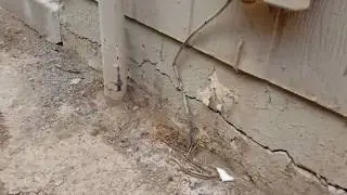 Foundation Repair & Inspections - Concrete Repairman&reg; - Arizona