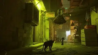 STRAY - Ep.06 : Les taudis - Part.2 ( Playstation 5 )