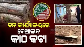 Illegal Wood Chopping At Forest Ranger's Office, Uses For Personal Benefits | Malkangiri, MV 79