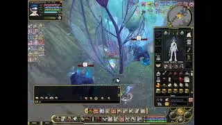FLYFF INSANITY QUICK FARMING PERIN WITH ARCHANIST