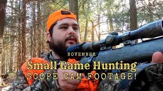 November Squirrel Hunting Scope Cam Footage