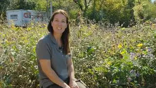 How to maintain your pollinator garden in the fall