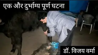 एक और दुर्भाग्य पूर्ण घटना //डॉ. विजय वर्मा 