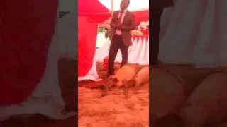 Adlight Shumba Easter