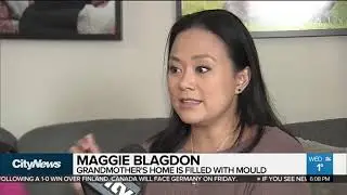 Woman returns to find toxic mould in Toronto! Mold Removal, by GTARestoration.com