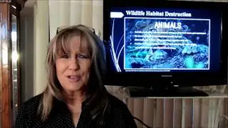 Why Wildlife Education is Important -  Human and Wildlife Conflicts