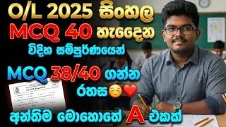 2025(2026) OL Exam Sinhala | OL Mcq Sinhala Structure | OL 206 Sinhala Anumana | 2026 OL Study Plan