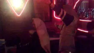 BATA LAKI -KOLO